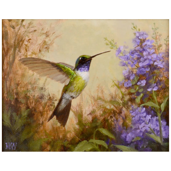 Mary Kay West Violet-Throated Hummingbird