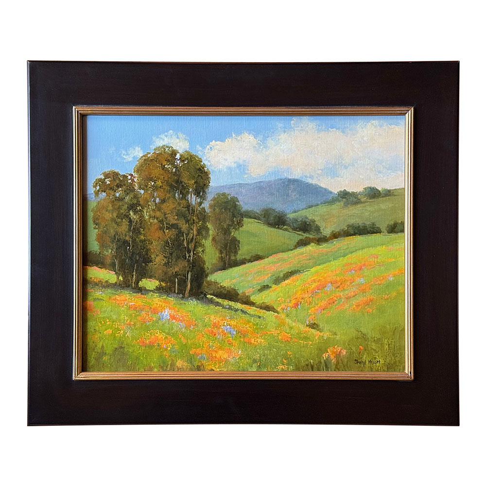 Sheryl Knight Sunlit Poppies